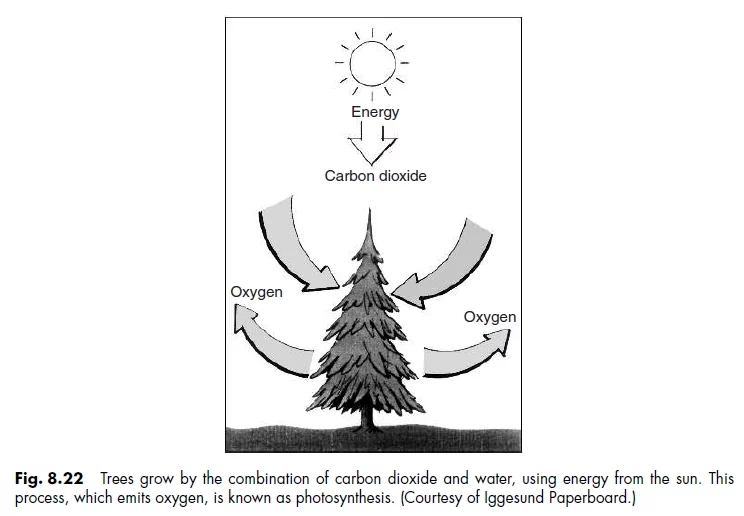 Fig. 8.22 Trees grow by the combination of carbon dioxide and water, using energy from the sun. This process, which emits oxygen, is known as photosynthesis. (Courtesy of Iggesund Paperboard.)