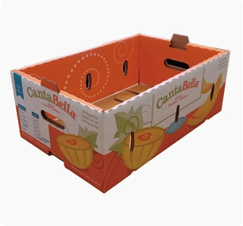 BE flute corrugated carton box, corrugated printed boxes and mailers