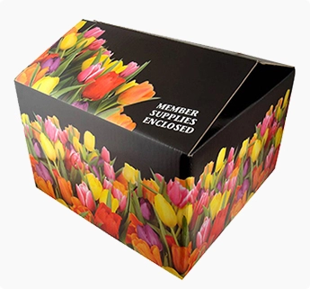 full color corrugated printed box with the logo spot uv