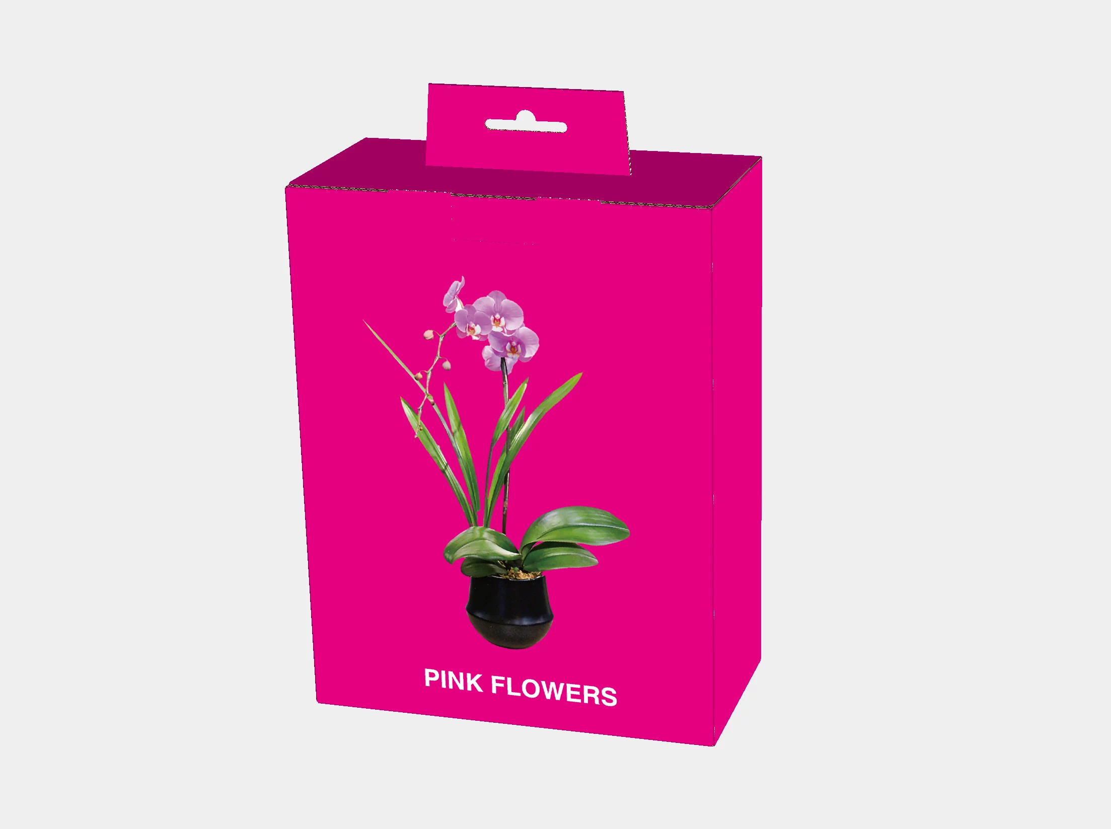 corrugated printed box with hanging hole
